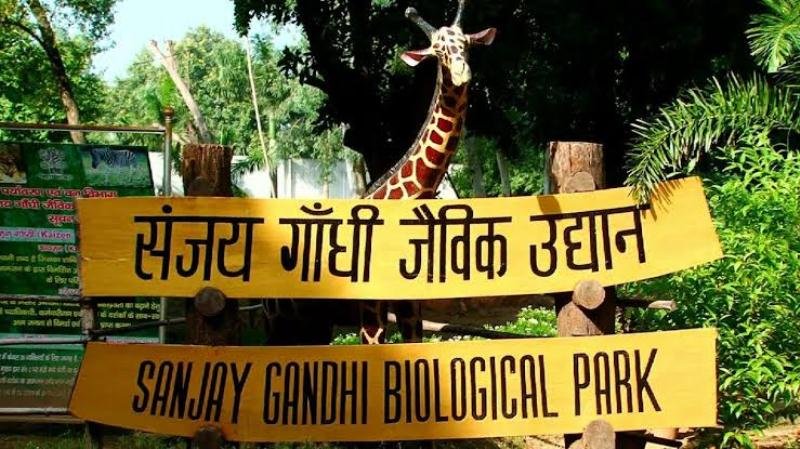 चालू घडामोडी (11 डिसेंबर 2019) 11 December 2019 Current Affairs