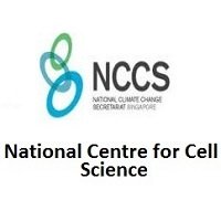 Pune NCCS Bharti