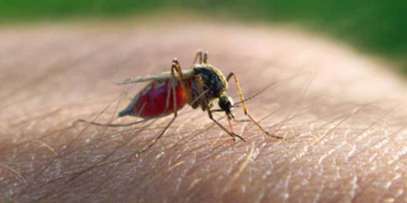 जागतिक मलेरिया दिन